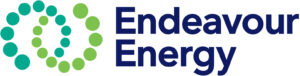 Endeavour Energy