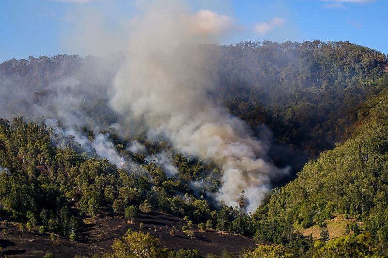 Bushfire Preparedness and Lessons Learnt blog header